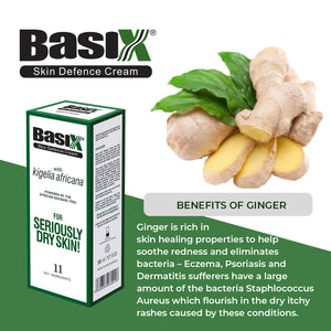 Benefits of Ginger in Basix Skin Defence